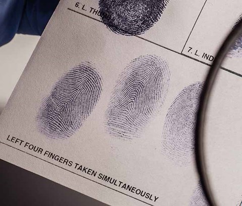 abstract image of a set of fingerprints being examined