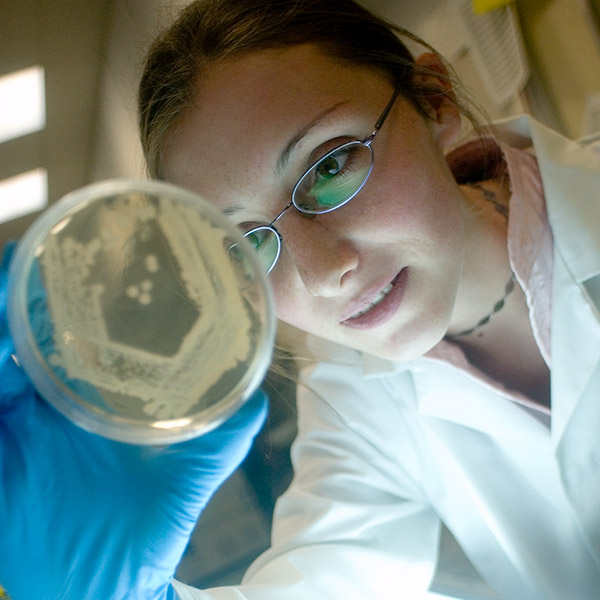 student in the genetics lab examining a petri dish