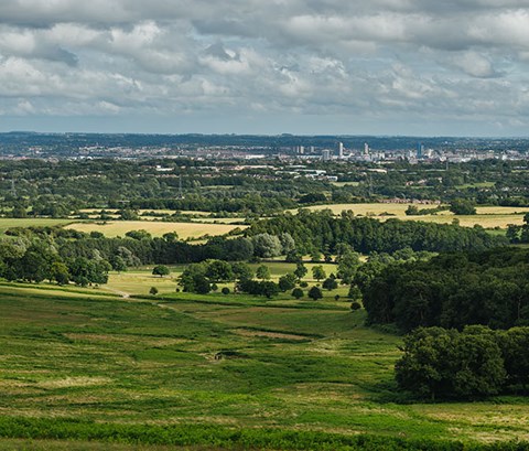 Photo of Leicester Bradgate Park featuring green hills, copses of trees and bright, cloudy sky