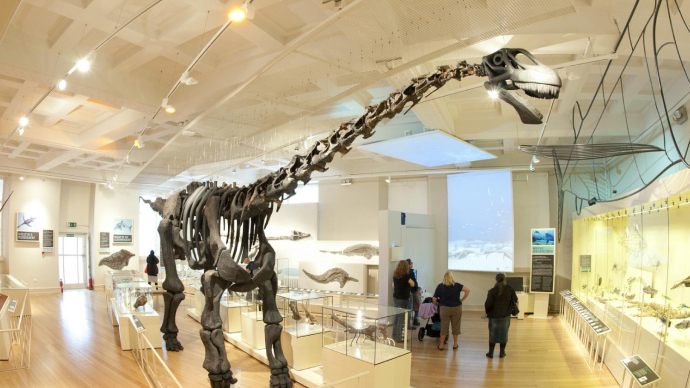 Dinosaur skeleton in New Walk museum.