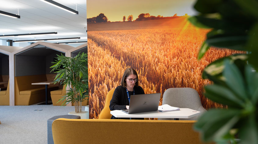 Person sitting in an open plan office, working on a laptop with a nature background