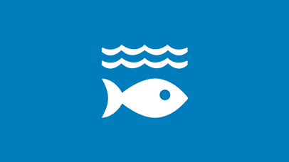 sustainable development goal 14 graphic