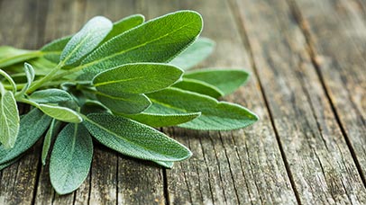 sage leaves on wooden table