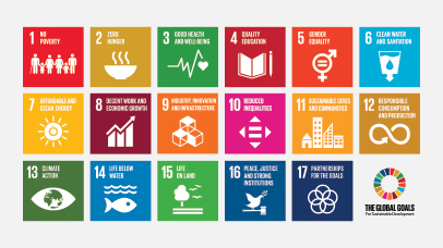 Global goals icons