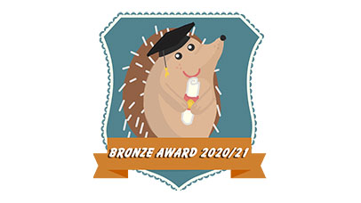 Bronze Award 2020/21