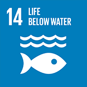 goal 14 life below water