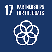 goal 17 partnerships