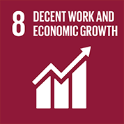 goal 8 decent work