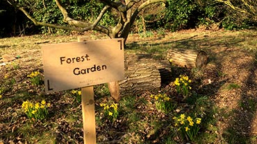 forest garden sign