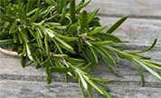 rosemary leaves