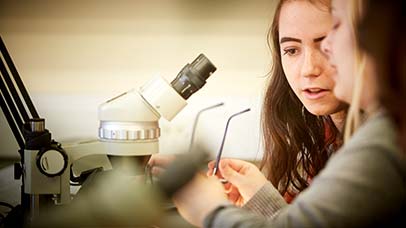 students working with a microscope