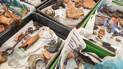 a collection of items from a dig