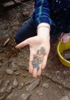 An archaeologist holding out a handful of the mesolithic flints, which are small, grey stone fragments