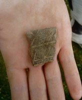 A hand holding out a fragment of prehistoric pot, light brown in colour with a visible pattern