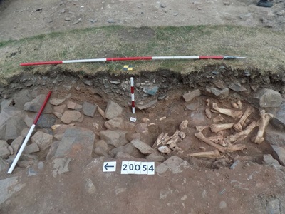 Excavated horse bones in a trench among archaeological equipment and stones