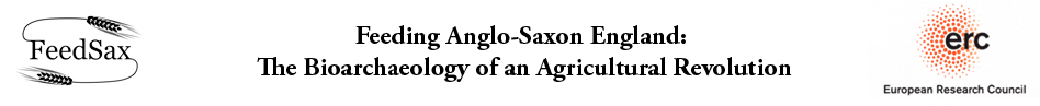 A banner image showing the FeedSax logo (the word "FeedSax" between stylised sheaves of corn), the full project title ("Feeding Anglo-Saxon England: The Bioarchaeology of an Agricultural Revolution"), and the logo of the European Research Council (the acronym "erc" on a circle of red dots)