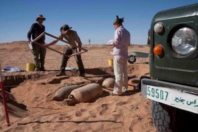 3 archaeologists with a discovery of 3 Roman amphoras at a Garamantian settlement