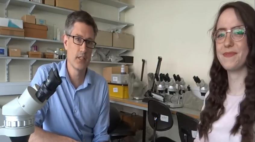 still from video