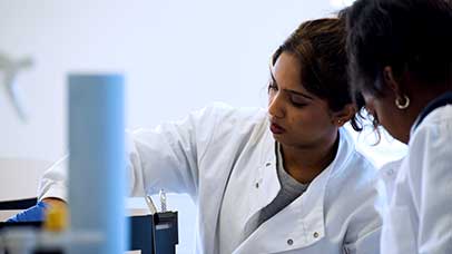 students working together in a lab