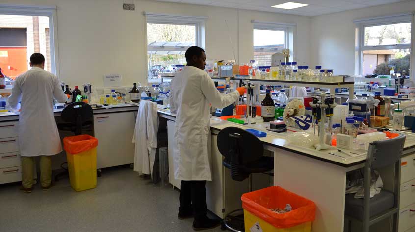 Sample preparation lab