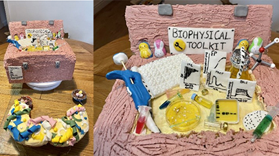 A cake representing research carried out in the Doveston lab
