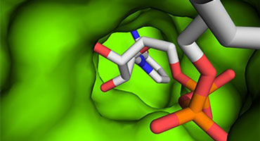 Biocatalysis