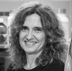Photograph of Professor Inês Cardoso Pereira