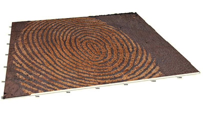 A large fingerprint