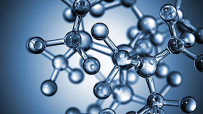 Main group catalysis
