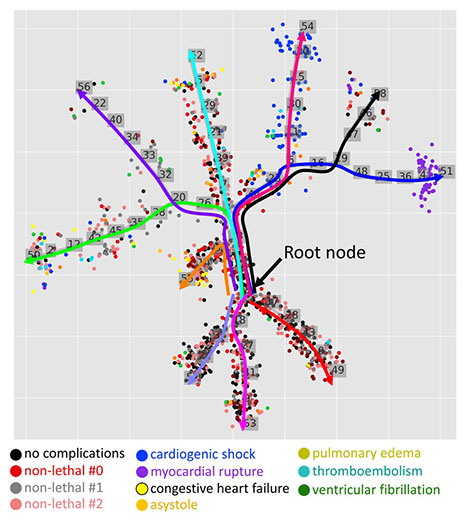 Graphical representation of patients' clinical trajectories