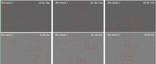 Visualization of the successful cases of authentication from a cell