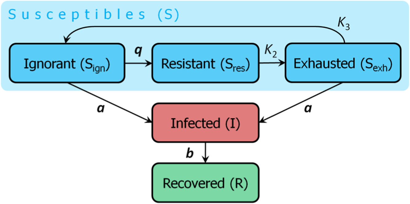 Graphical representation of an infectious disease model