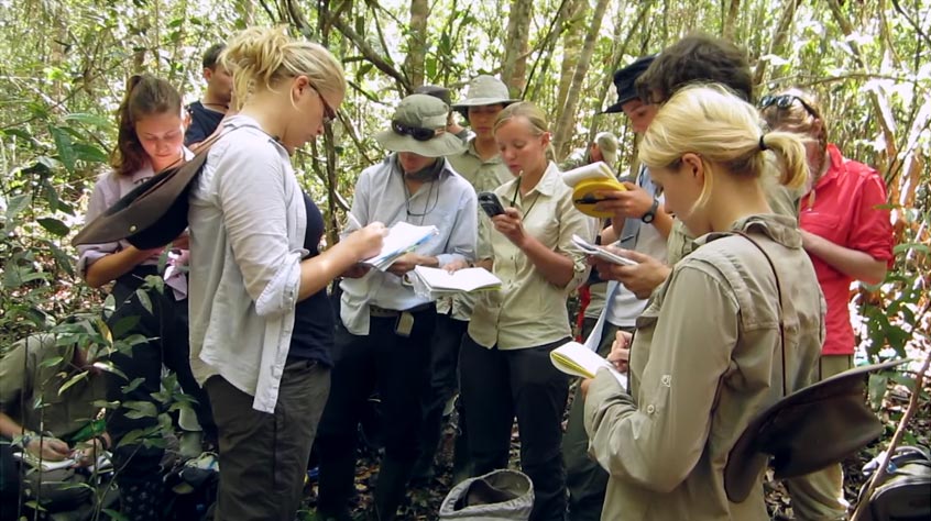 still image taken from video