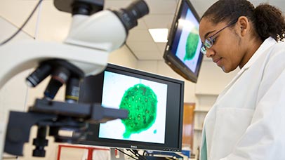 student analysing microscopic images