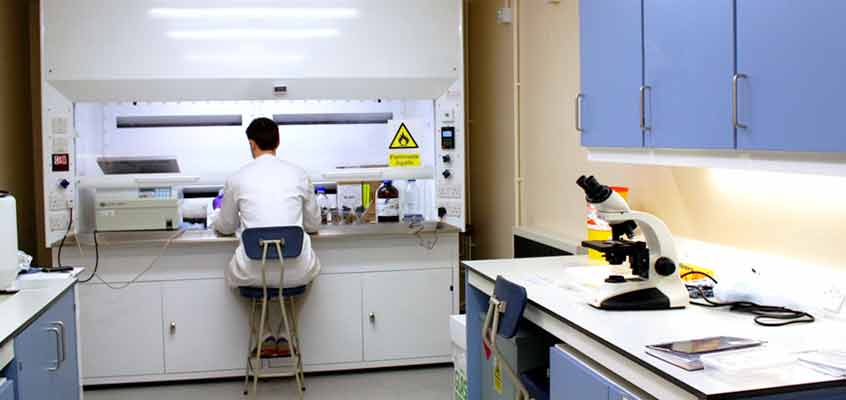 Student working in the Palaeoecology Laboratory