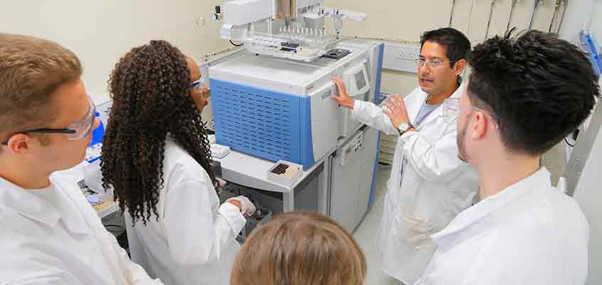 Staff and students working in the Stable Isotope Laboratory