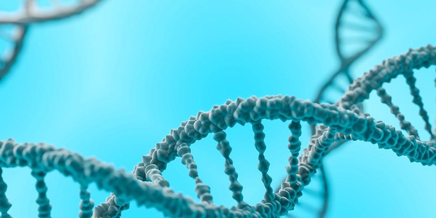 strands of DNA