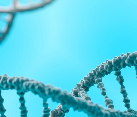 strands of DNA