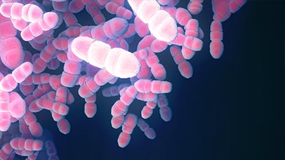 3d model of microbe close up