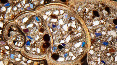 Thin section image