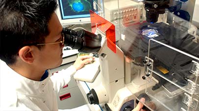 research taking place using a microscope