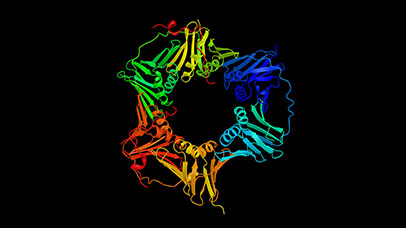 cell proliferation visualisation