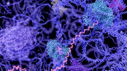 abstract gene visualisation