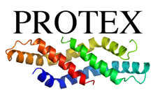Protex