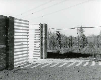 Black and white photograph of a pair of gates made of slats, one open, with sunlight pouring through the closed one onto the ground leaving a striped walkway beside a field