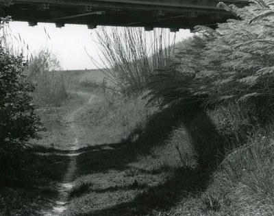 Black and white photograph of a dry shallow valley under a wooden bridge with shadow from grasses and the bridge draped across the ground