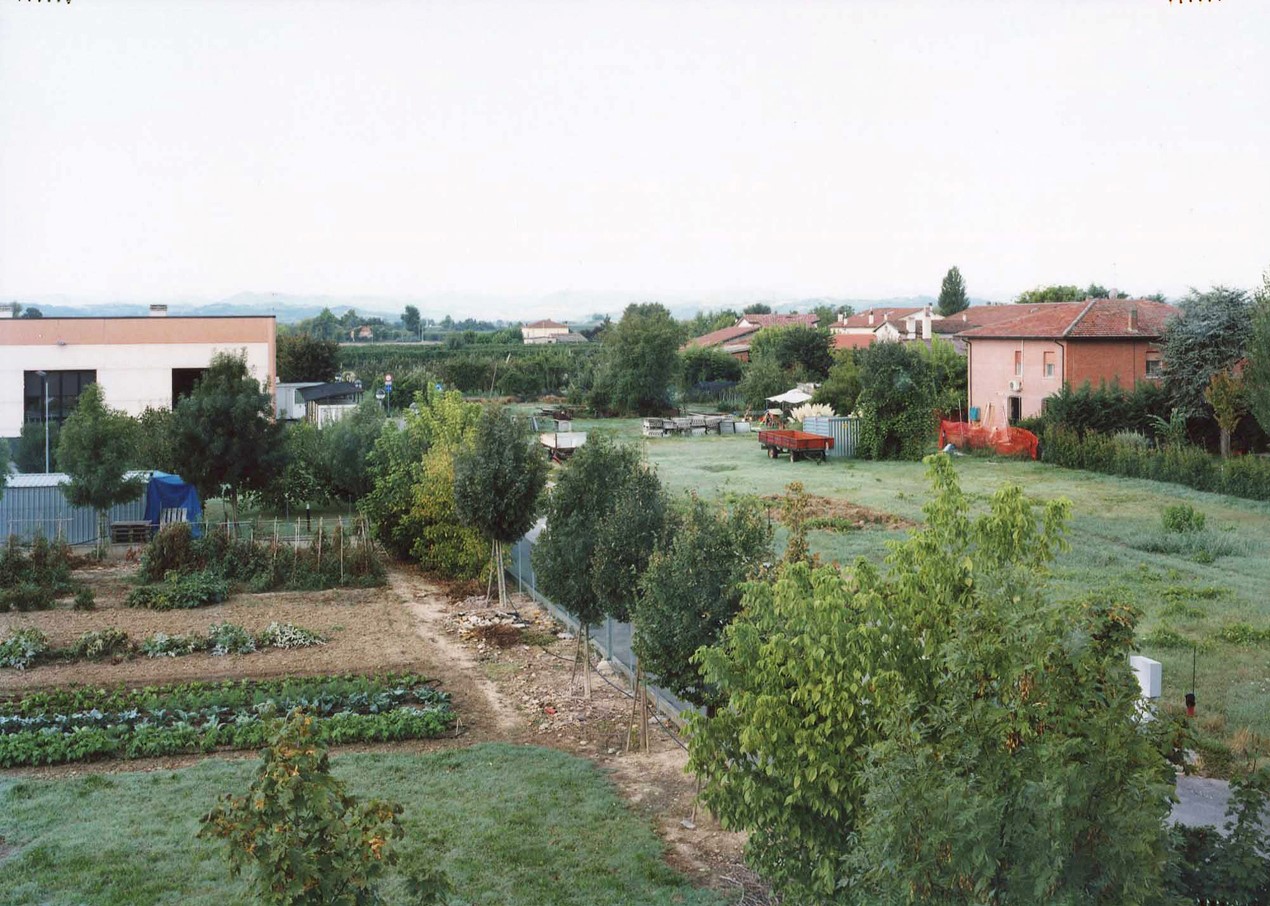 Photograph of green land split by a line of trees, with vegetable patches one side and unused yard land on the other