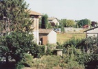 Photograph taken from a vegetable garden behind a house looking our at the neighbourhood street. A person can be seen outside bending down.