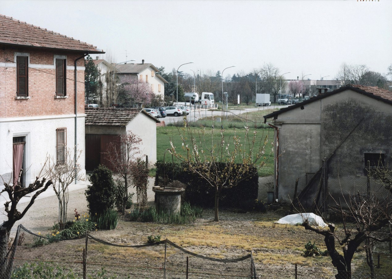 Photograph of a garden beside a house with a tree budding with blossom standing in the centre of the image, and the neighbourhood street in the background 