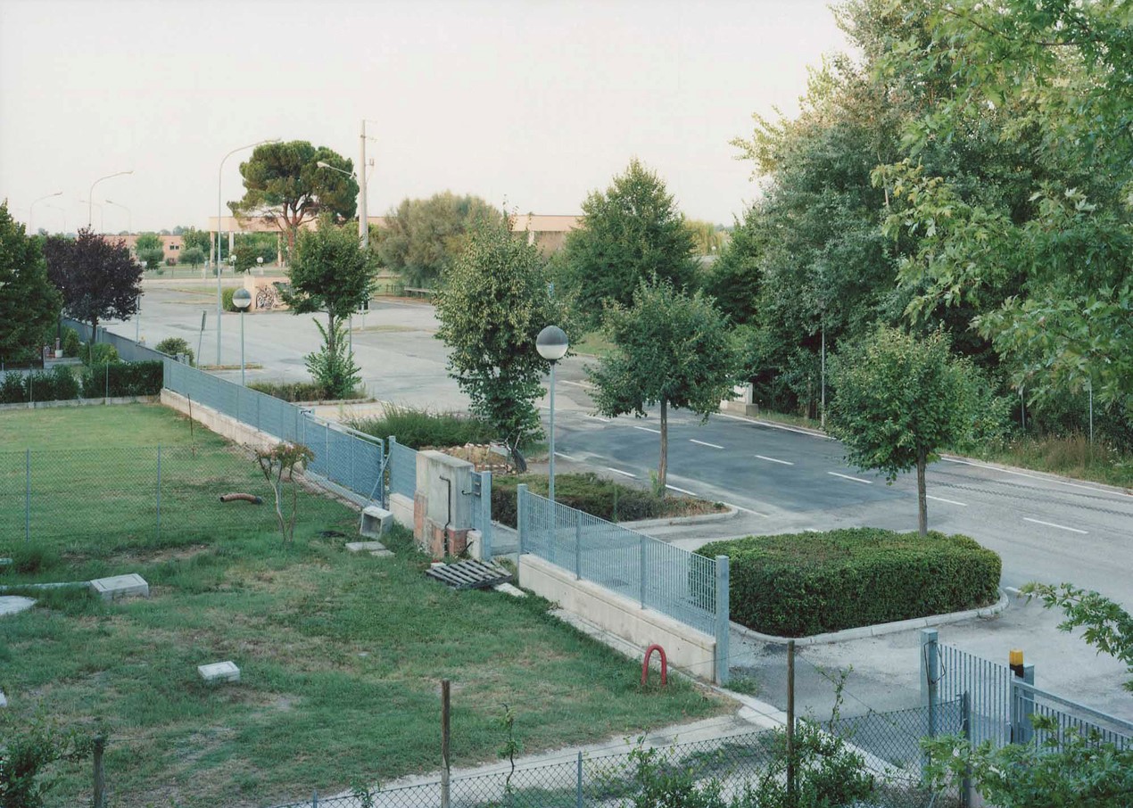 Photograph of a tree-lined street, each with foliage surrounding the trunk, the road clear and front gardens largely empty 